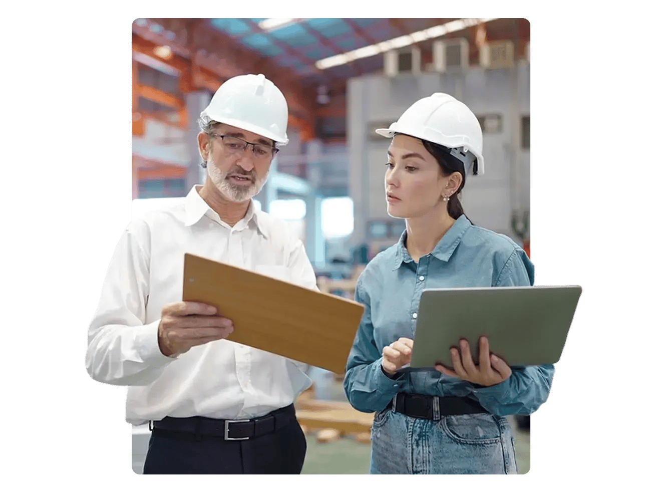 proven-proactive-search-process